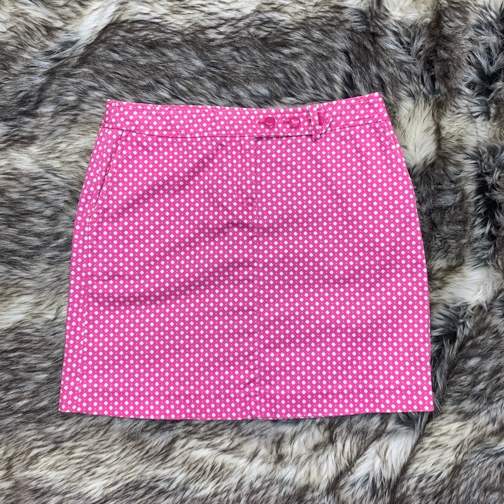 J. Crew Skirt